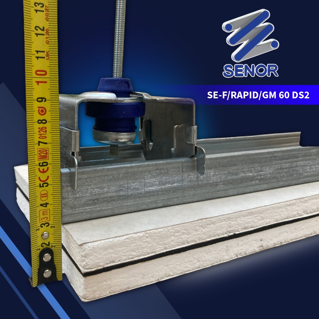 F/RAPID/GM 60 DS2 F/RAPID/GM 60 DS2
